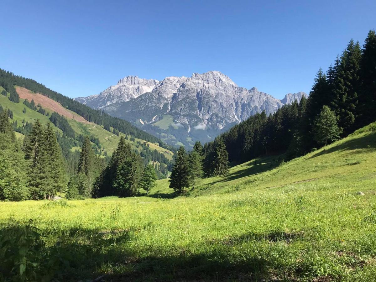 Untergrundgut Villa Leogang Bagian luar foto